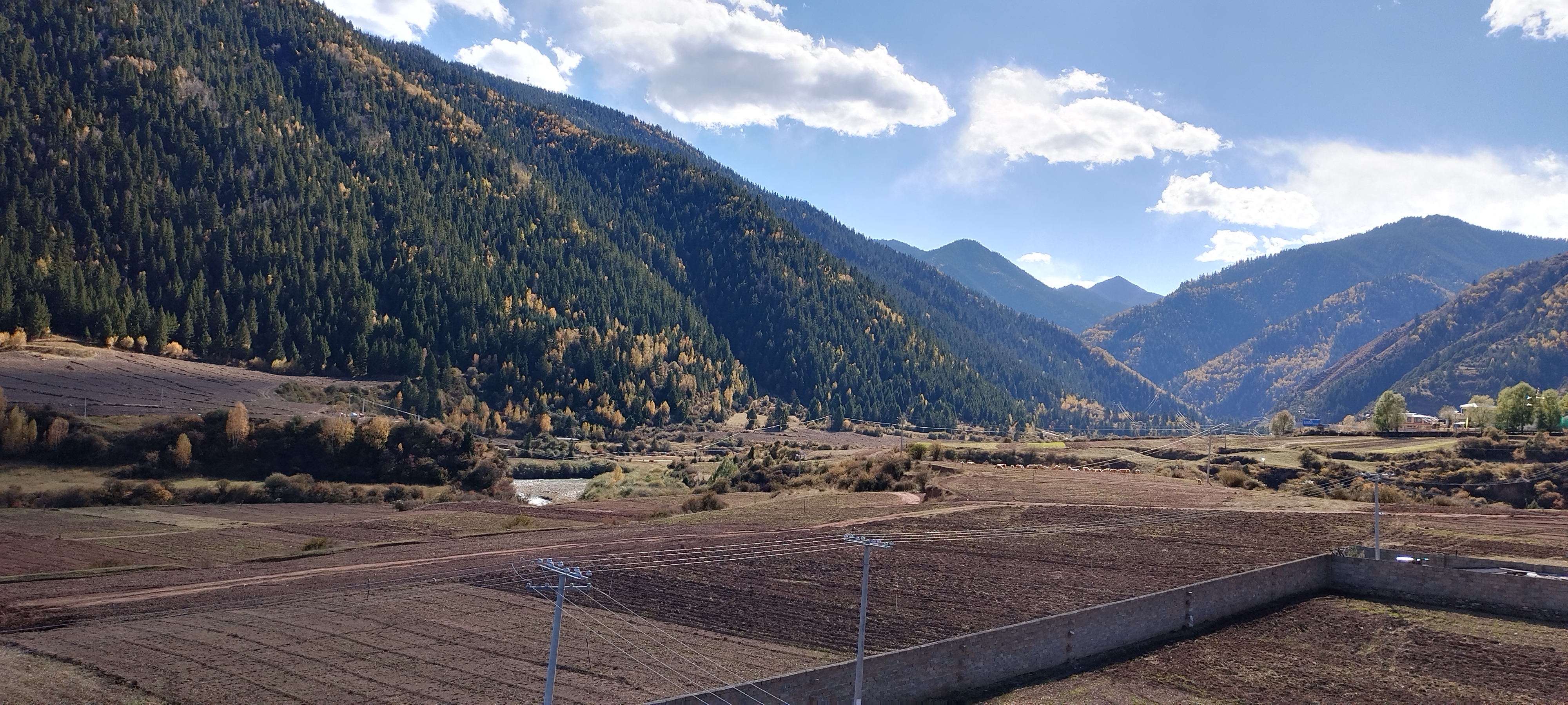 铲屎官小李头像